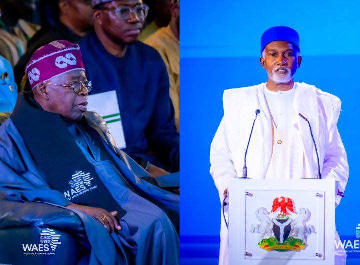 Nigeria, And Some ECOWAS Members, Have Rare Minerals of Acclaimed Monopoly by China, That Can Shape Future Development—Foreign Affairs Minister, Tuggar