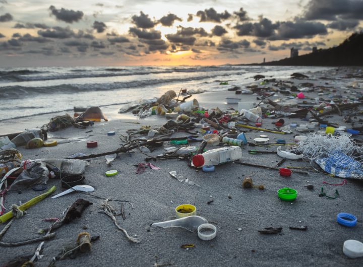 World Environment Day: Stakeholders at Unity Bank Webinar Demand Urgent Action on Plastic Pollution
