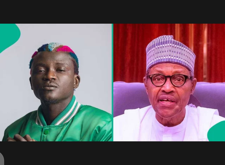 It was Chelsea’s match that they used to bury Buhari – Portable