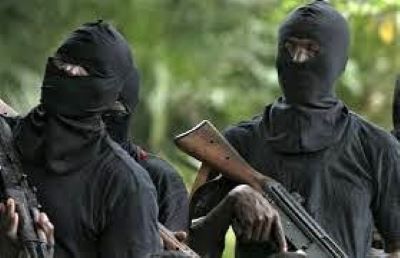 News: Gunmen Attack BUA Cement Facility in Edo, Kill Eight NSCDC Personnel