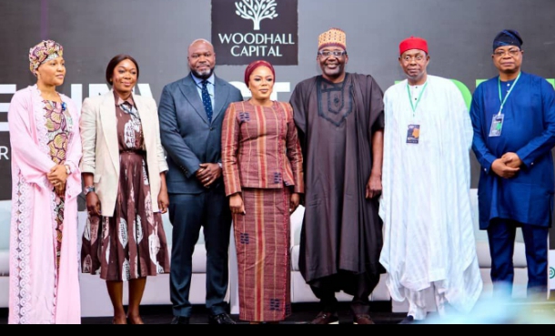 Woodhall Capital Eyes 50 Billion Global Investment to Boost Nigeria’s Growth
