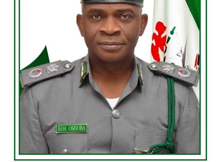 Apapa Customs, NDLEA Seize 347.5kg of Canadian Loud Hidden in 13 Bags