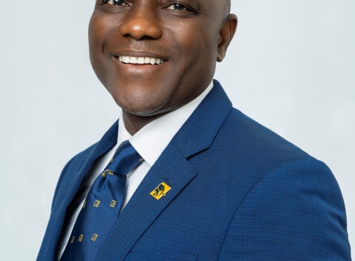 FirstDiaspora: Simplifying Financial Management for Nigerians Abroad