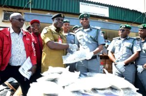 Tin Can Customs Intercepts ₦18.9bn Cannabis Hidden in Imported Vehicles, Hands Over to NDLEA