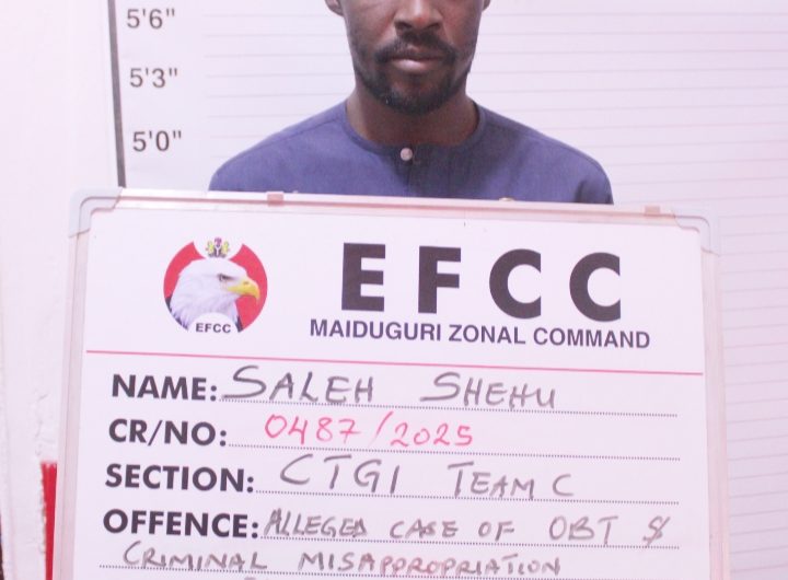Court Sentences Man to Two Years Over N22m Fraud in Maiduguri