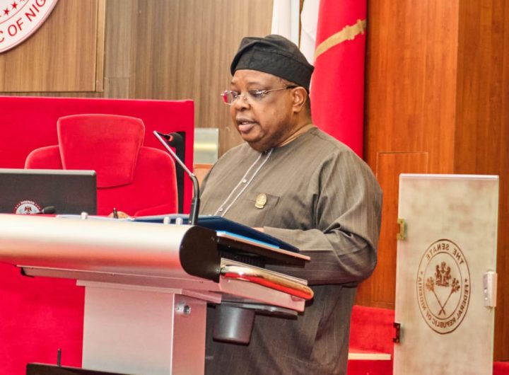 Senate Screens Tegbe for Power Minister Role, Unveils Reform Agenda