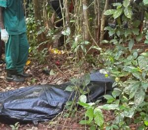 Kidnap Victims’ Bodies Recovered in Edo Forest as Police Arrest Suspected Gang Member