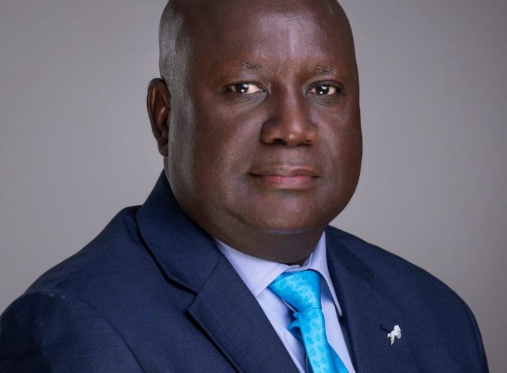 World Environment Day: Agricultural Finance Is Climate Finance, Says Union Bank Executive