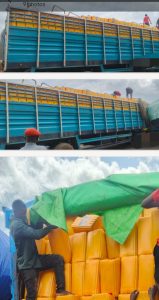 Customs Seizes Smuggled Vegetable Oil Worth ₦403.5 Million in Major Anti-Smuggling Operation