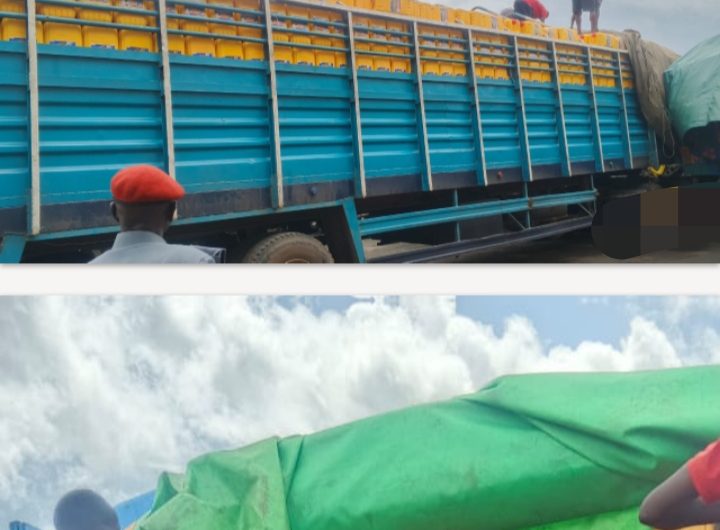 Customs Seizes Smuggled Vegetable Oil Worth ₦403.5 Million in Major Anti-Smuggling Operation