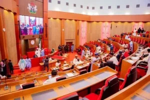 Senate Passes State Police Bill Amid Tension Over Governors’ Access to Chamber