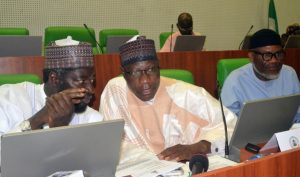 Reps Probe Alleged Absence of Presidential Foreign Investment Promotion Council in Federal Budget Framework