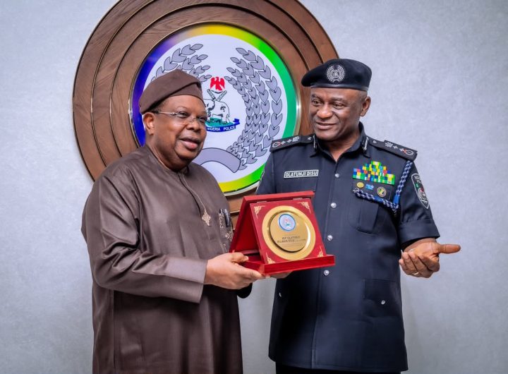 Power Minister, IGP Disu Move to Establish Joint Task Force to Protect Power Infrastructure
