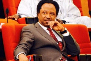 2027: Atiku, Obi Unlikely to Step Down for Each Other, Shehu Sani Says