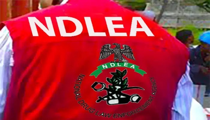 NDLEA Raises Alarm Over Foreign Cartels Setting Up Drug Labs in Ogun, Oyo Forests