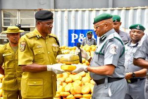 Customs Seizes N3.95bn Illicit Drugs, Hands Over Three Suspects to NDLEA