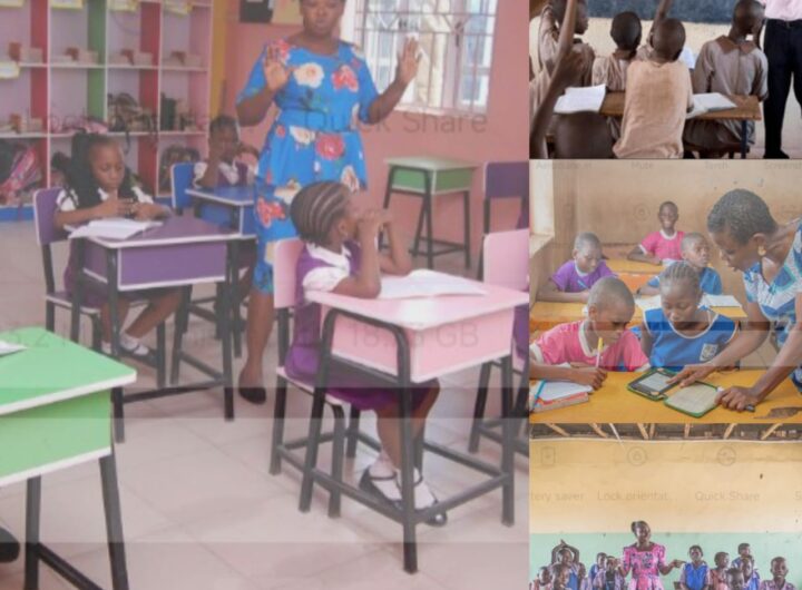Teachers: The Bravest Architects of Our Future