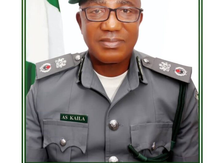 Customs Deploys Digital Baggage Declaration System at Seme Border