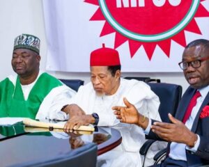 NIPCO Unveils bn FLNG Project, Targets 3 Million Tonnes of LNG Yearly