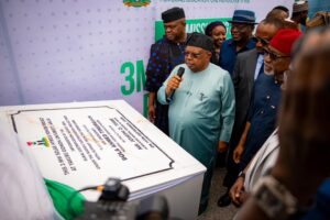 FG Rules Out Immediate Electricity Tariff Increase, Prioritises Metering