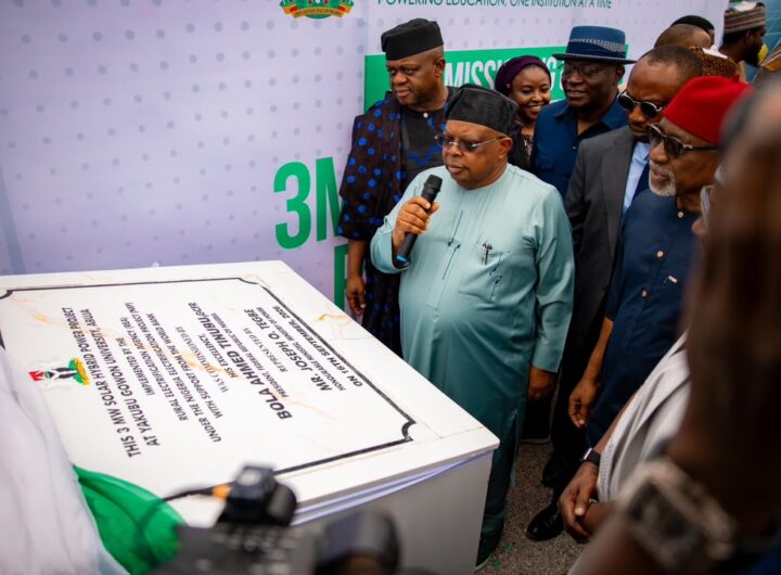 FG Rules Out Immediate Electricity Tariff Increase, Prioritises Metering
