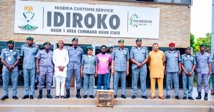 Ogun I Customs Rescues Three Live Pangolins From Smugglers